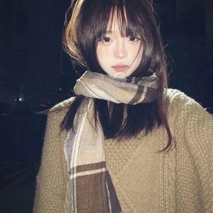 落在香杉树的雪花封面